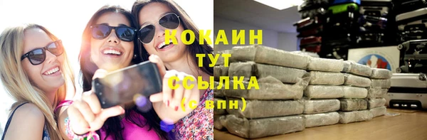 первитин Михайлов