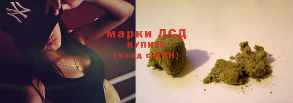 ГАЛЛЮЦИНОГЕННЫЕ ГРИБЫ Михайловка