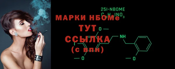 индика Наволоки