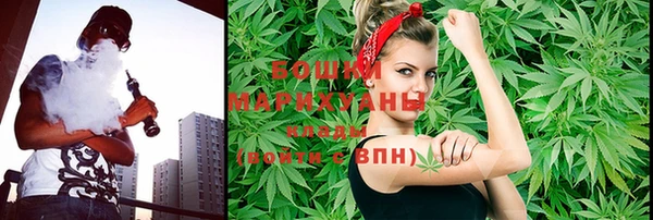 индика Наволоки