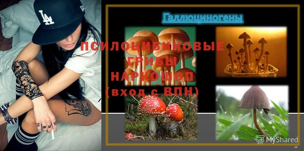 первитин Михайлов