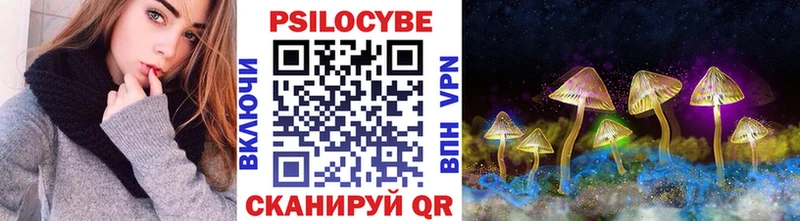 Купить Тюмень Галлюциногенные грибы Magic Shrooms